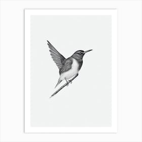 Dipper B&W Pencil Drawing 2 Bird Art Print