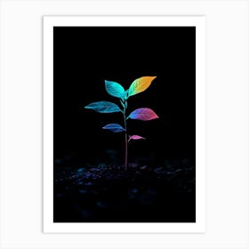 Rainbow Plant In The Dark Art Print