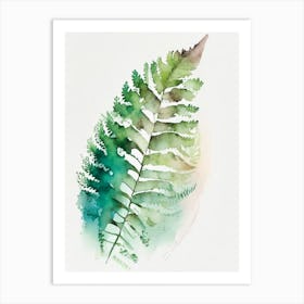 Sensitive Fern 3 Watercolour Art Print