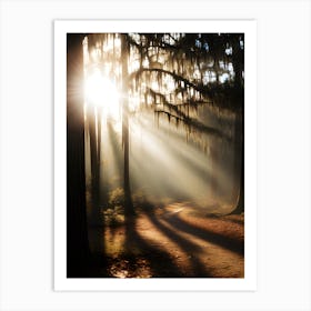 Sunrise In The Forest Art Print