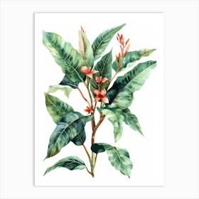 Hibiscus 20 Art Print