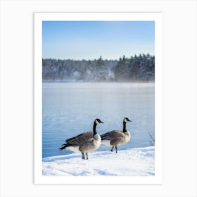 Canadian Goose Tranquil Stance Beside A Frozen Lakes Edge Winter Landscape Background Snow Clad (1) Art Print