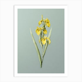 Vintage Irises Botanical Art on Mint Green n.0461 Art Print