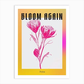 Hot Pink Protea 2 Poster Art Print