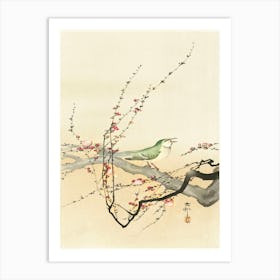 Songbird And Plum Blossom (1900 1936), Ohara Koson Art Print