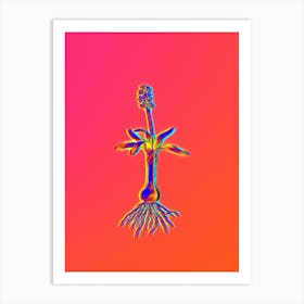 Neon Scilla Lingulata Botanical in Hot Pink and Electric Blue n.0332 Art Print