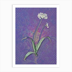 Vintage Spring Garlic Botanical Illustration on Veri Peri n.0591 Art Print