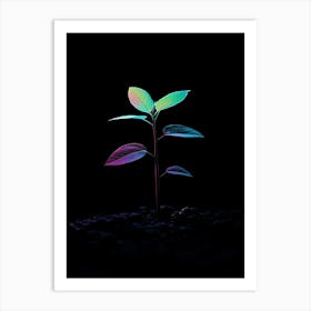 Small Green Plant In The Dark 4 Art Print