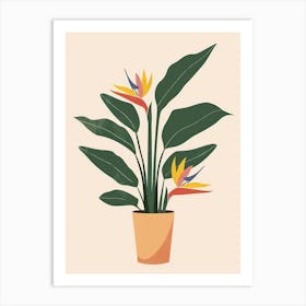 Bird Of Paradise Plant Minimalist Illustration 7 Art Print