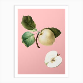 Vintage Astracan Apple Botanical on Soft Pink n.0131 Art Print
