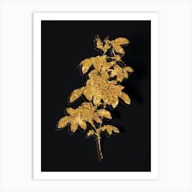 Vintage Single May Rose Botanical in Gold on Black n.0592 Art Print