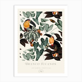 Branco Tucanos Poster Art Print