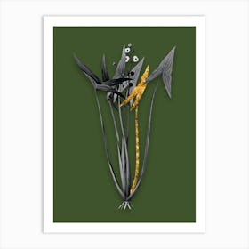 Vintage Arrowhead Black and White Gold Leaf Floral Art on Olive Green n.0355 Art Print