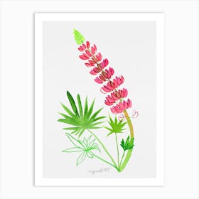 Pink Lupine Watercolor Artwork Art Print