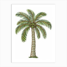 Palm Tree 31 Art Print