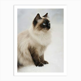 Birman Cat Painting 1 Art Print