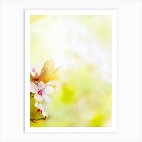 Blossoming Cherry Tree In Spring Art Print