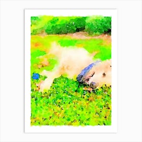 Dog In The Grass Art Print