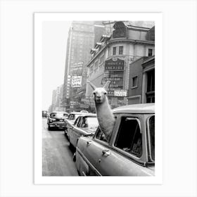 Llama in a Taxi, Black and White Vintage Photo Art Print