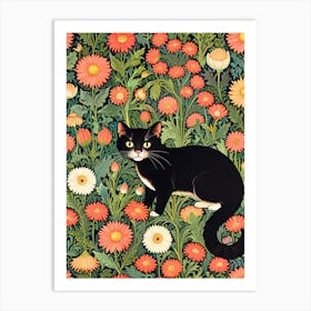 Black Cat In Daisies Art Print