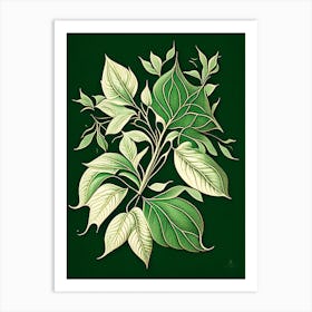 Jasmine Leaf Vintage Botanical 3 Art Print