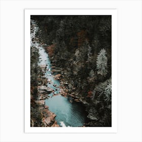 Forest Creek Art Print