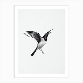 Raven B&W Pencil Drawing 4 Bird Art Print