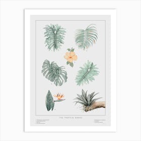 The Tropical Babies Off White 2 Art Print