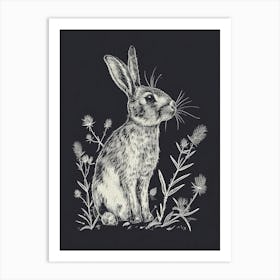 English Silver Rabbit Minimalist 4 Art Print