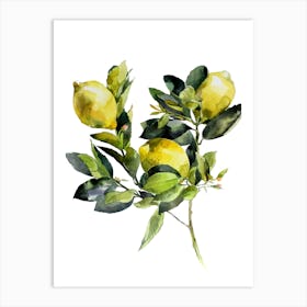 Watercolor Lemons 1 Art Print