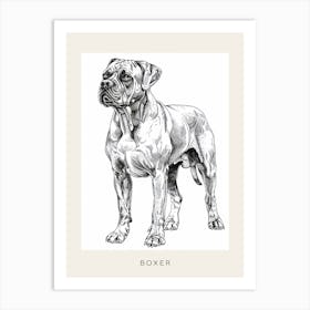 Boxer Dog Line Sketch 3 Poster Art Print