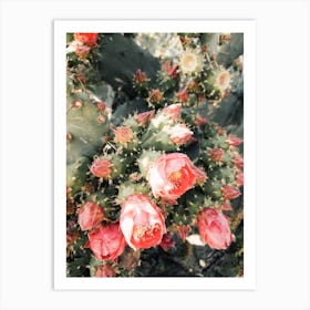 Pink Cactus Flower Art Print