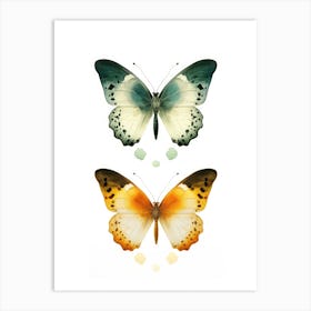 Butterfly On White Background Art Print