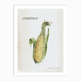 Sweetcorn Vintage illustration Print Art Print