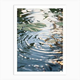 Reflection In Water Art Print