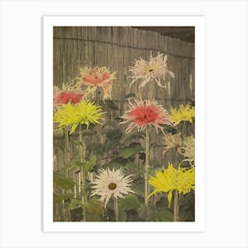 Chrysanthemums 11 Art Print