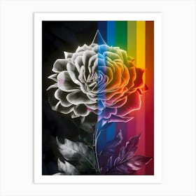 Rainbow Rose 1 Art Print