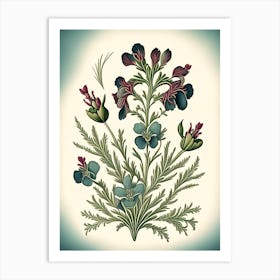 Nemesia 2 Floral Botanical Vintage Poster Flower Art Print