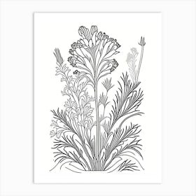 Valerian Herb William Morris Inspired Line Drawing 3 Art Print