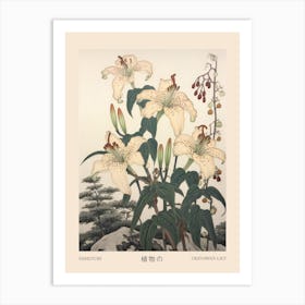 Himeyuri Okinawan Lily 3 Vintage Japanese Botanical Poster Art Print