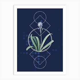 Vintage Spanish Bluebell Botanical with Geometric Line Motif and Dot Pattern Art Print