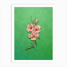 Vintage Pink Ruddy Godetia Botanical Art on Classic Green n.1827 Art Print