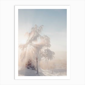 Soft Light Trough A Frozen Tree Art Print