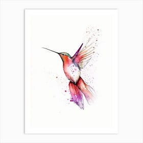 Allen S Hummingbird Minimalist Watercolour 4 Art Print