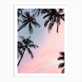 Sunset Over Palm Trees Art Print