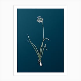 Vintage Nodding Onion Botanical Art on Teal Blue n.0150 Art Print