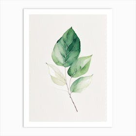 Salal Leaf Minimalist Watercolour 1 Art Print