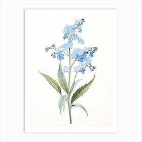 Forget Me Nots Flower Vintage Botanical 3 Art Print