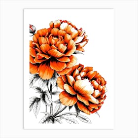 Orange Peonies 1 Art Print