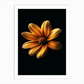 Yellow Flower On Black Background 4 Art Print